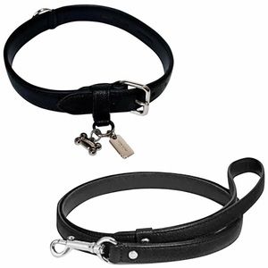 Coach Pet Collar and Leash Matching Gift Set+Box